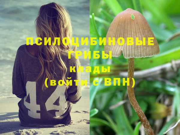 эйфоретик Горно-Алтайск