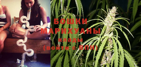 МДПВ Горняк