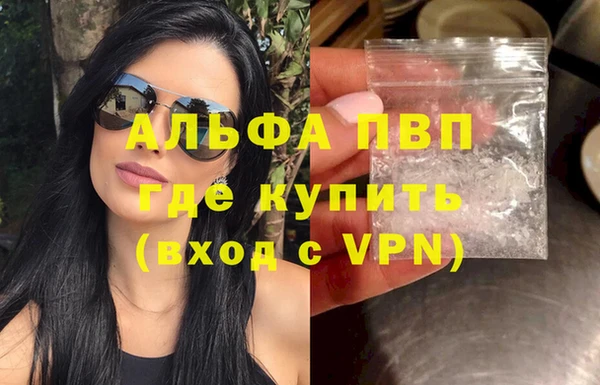 спайс Ладушкин