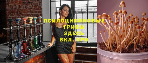 эйфоретик Горно-Алтайск