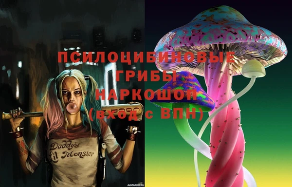 МДПВ Горняк
